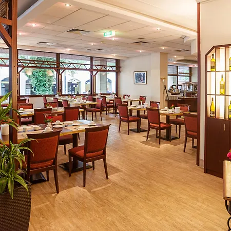 Golden Tulip