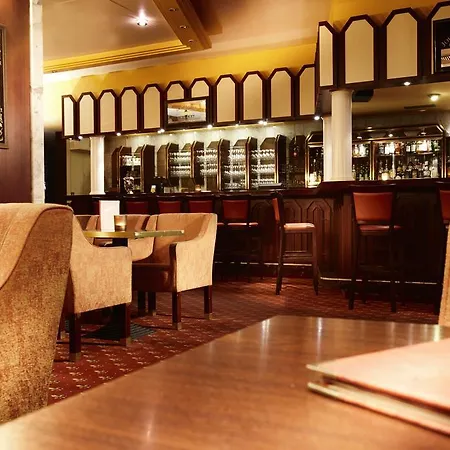 Golden Tulip