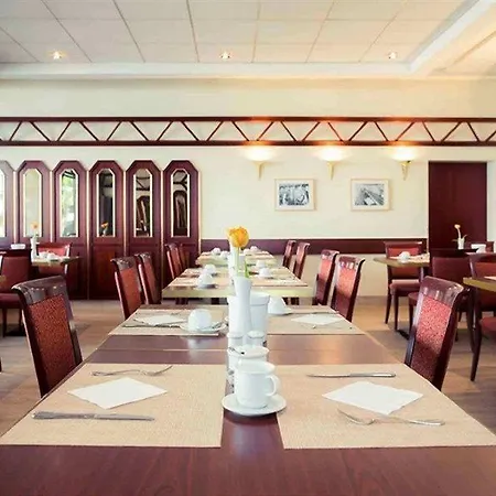 Golden Tulip